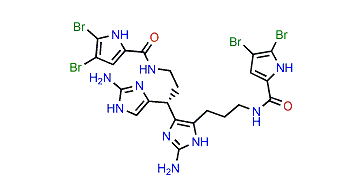 Nagelamide D